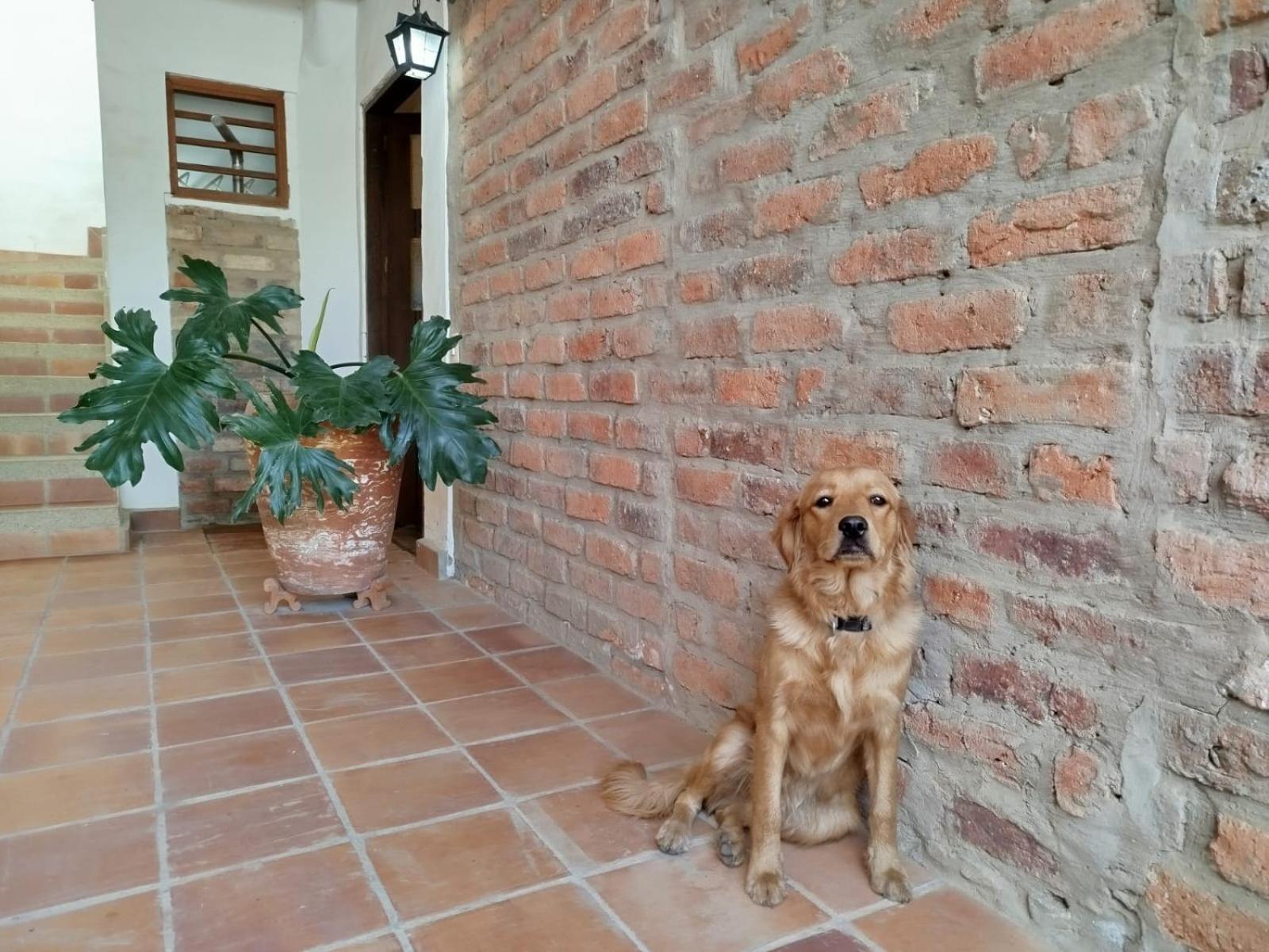 Altamira De La De Leyva Apartment *
