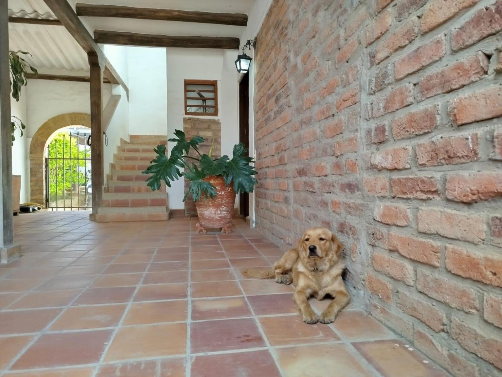 Altamira De La De Leyva Apartment