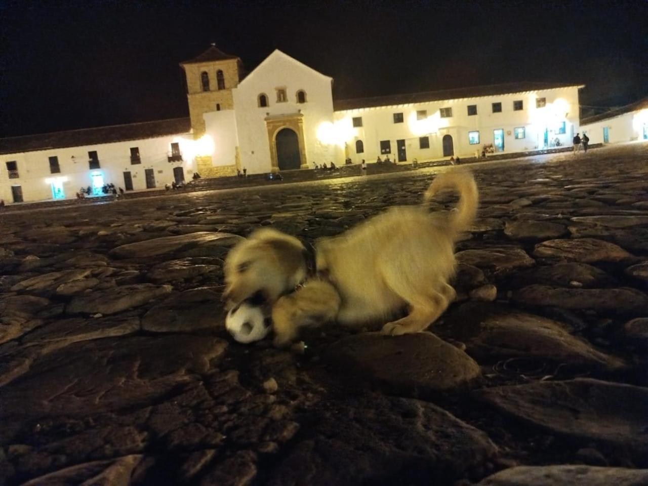 Altamira De La De Leyva *